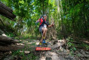 BIB: 
                            <button type="button" onclick="openModal(19393403)" class="btn btn-primary btn-sm float-right btn-popup" data-toggle="modal" data-target=".modal-high-quality">
                        <i class="fas fa-shopping-cart"></i> Add to Cart
                    </button>
                                            <button type="button" onclick="isThisMe(19393403, true)" class="btn btn-success btn-sm float-right btn-popup btn-isme hidden" data-toggle="tooltip" data-placement="bottom" title="นี่คือรูปของคุณใช่ไหม คลิกที่นี่เพื่อเอาเข้าอัลบั้ม">
                        <i class="fas fa-plus"></i> Add to album
                    </button>
                    <button type="button" onclick="isThisMe(19393403, false)" class="btn btn-warning btn-sm float-right btn-popup btn-isnotme hidden">
                        <i class="fas fa-ban"></i> Remove from album
                    </button>